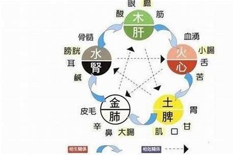 五行 補水|五行缺水如何補救，很多人並不知道補水還有這些方法。